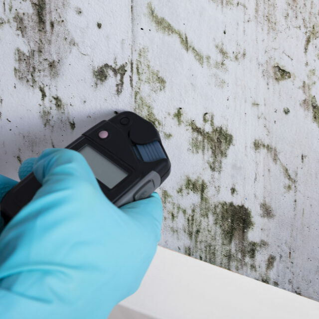 Mold Testing and mold remediation in Knoxville, TN