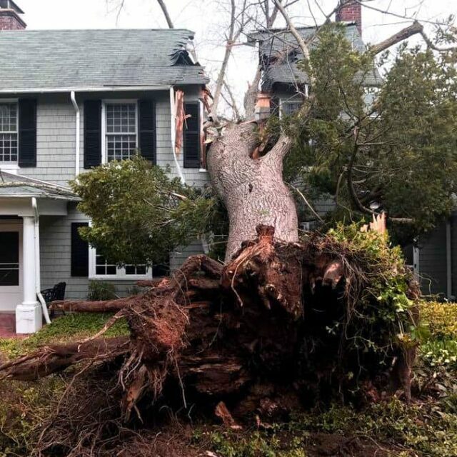 Storm Damage Cleanup in Knoxville, TN