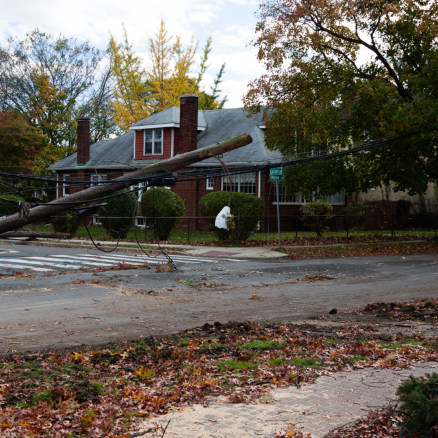 Storm Damage Repair in Knoxville, TN