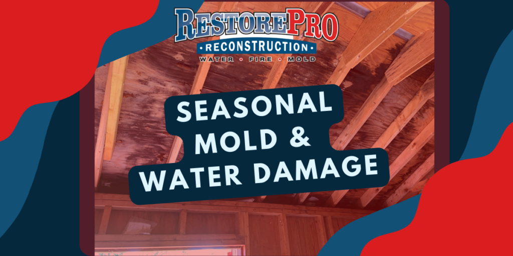 Seasonal Mold & Water Damage: