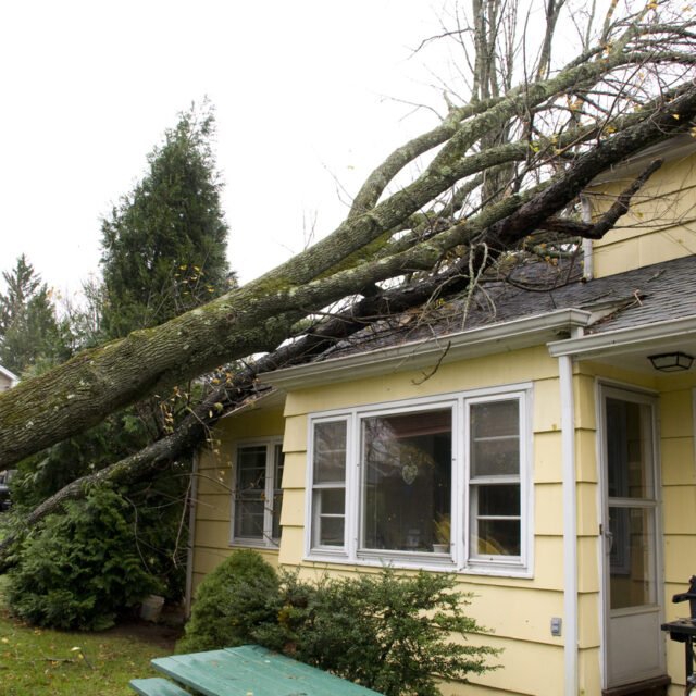 storm damage restoration company