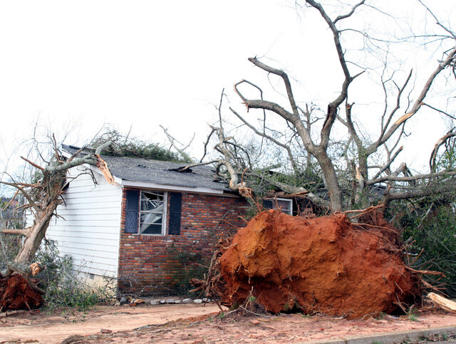 storm damage restoration in Wilmington
