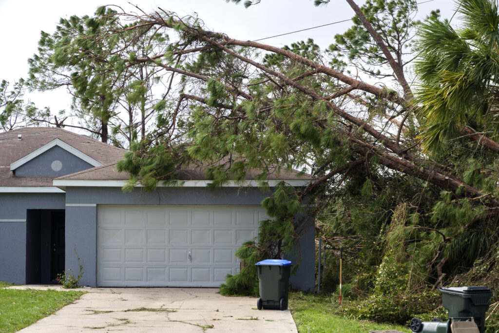 What Should I Do if My Home Has Storm Damage?