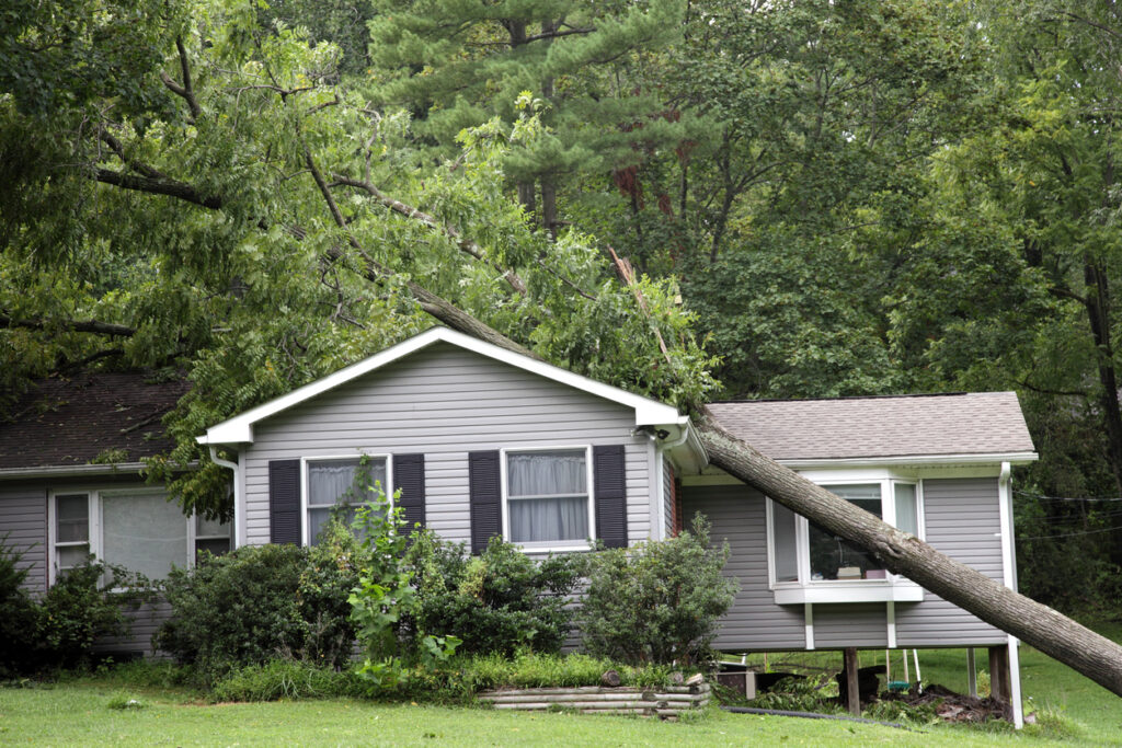 Most Common Types of Storm Damage